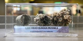 Concerns about Zebra mussels brought up by MD of Bonnyville council