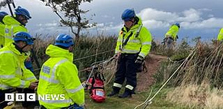 Dog uninjured after plunging 20m off Devon cliff