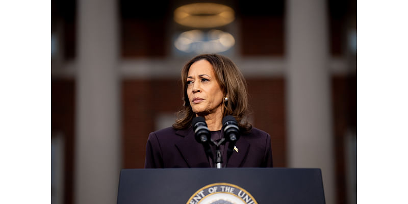 Knives Out for Kamala Harris as Democratic Blame Game Begins