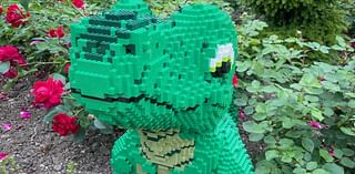 Lego baby dinosaur stolen from gardens