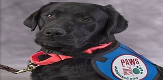 America’s next ‘Hero Dog’ might be from West Michigan