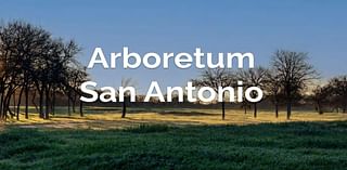 Last few days to weigh in on design, layout of new SA arboretum