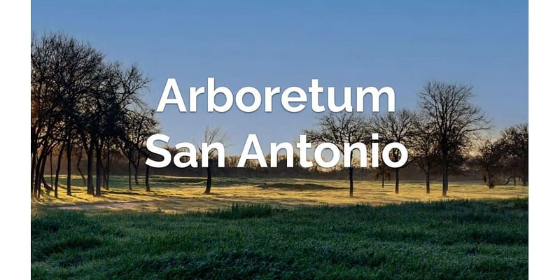 Last few days to weigh in on design, layout of new SA arboretum