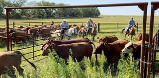 University of Nebraska program takes farm-to-table to a new level