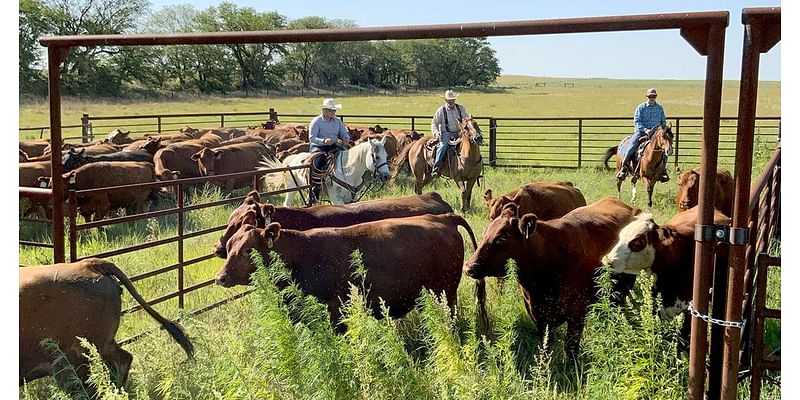 University of Nebraska program takes farm-to-table to a new level