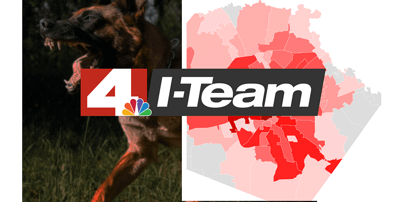 Here's where dog bites are most common in San Antonio