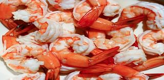 Louisiana Shrimp Festival in New Orleans tested for Gulf shrimp. Here are the results