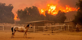 Southern California wildfire destroys 132 structures as officials look for fierce winds to subside