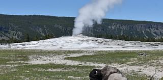 A woman sustains leg burns after straying from Yellowstone trail