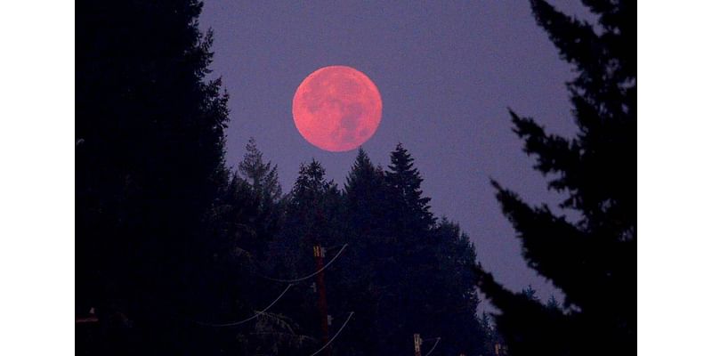 Here’s what the partial lunar eclipse looked like in Fresno, California