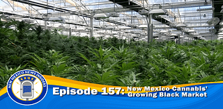 The Growing Black Market Inside New Mexico’s Cannabis Industry