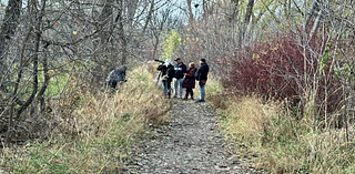 Minneapolis bird sanctuary visitors asked to stop harassing the owls