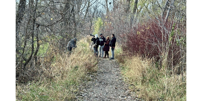 Minneapolis bird sanctuary visitors asked to stop harassing the owls