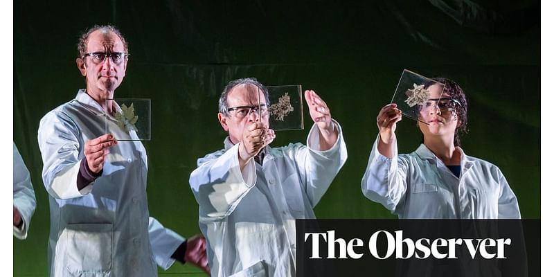 The week in theatre: Mnemonic; The Secret Garden; The Herds – review