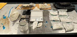 Massive Drug Bust in Dover: Over 860 Grams of Cocaine Seized in Shocking Arrest!