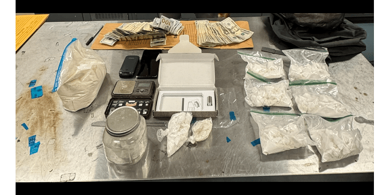 Massive Drug Bust in Dover: Over 860 Grams of Cocaine Seized in Shocking Arrest!