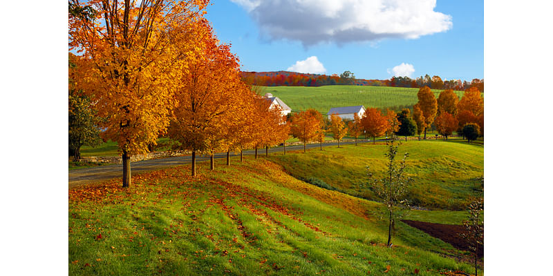 15 Best U.S. Cities for Fall Foliage in 2024, According to a New Study