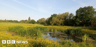 New ponds set for Lake View Park in Coventry river revival scheme