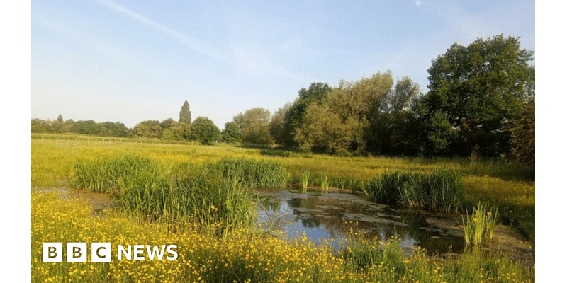 New ponds set for Lake View Park in Coventry river revival scheme