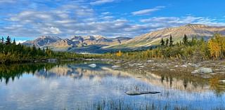 minded presidents preserved the most national park land