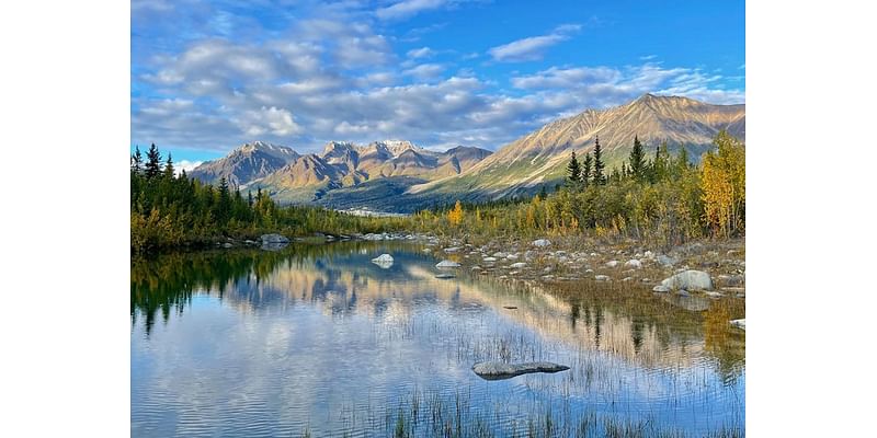 minded presidents preserved the most national park land