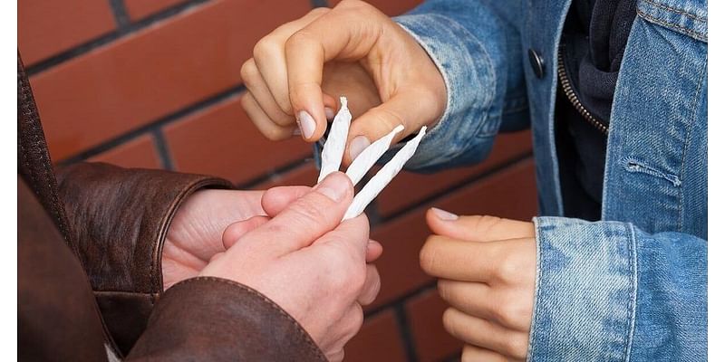 Marijuana Use Tied to Worse School Outcomes for Teens