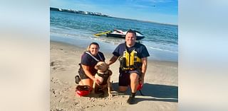 Dog rescued after getting caught in tide at Jersey Shore