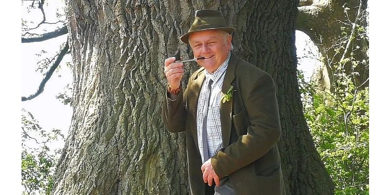 PM sent 550-year-old 'Darwin Oak' tree petition