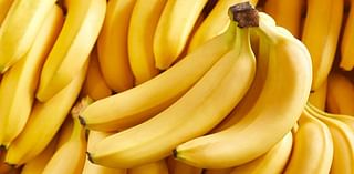 Bananas are in danger of going extinct, but there could be a solution