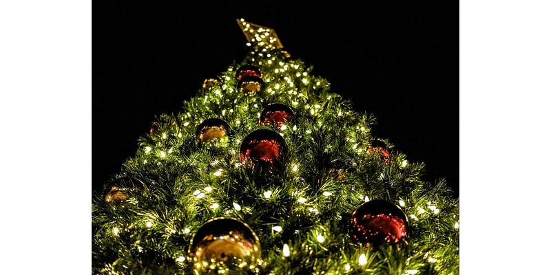 Ninth Annual Milford Christmas Tree Lighting Ceremony This Month