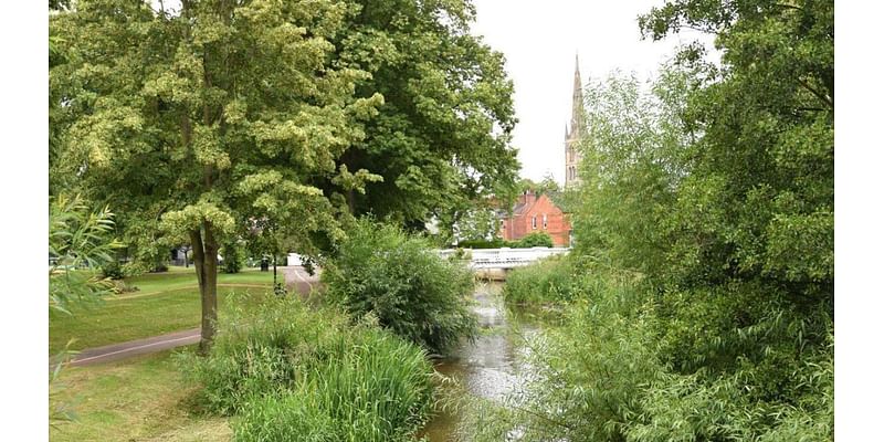 Survey to decide on the future of Green Flag park