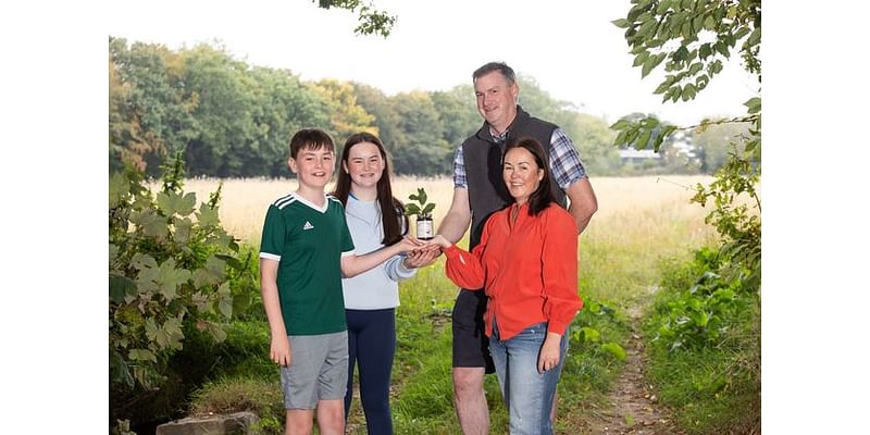 Wexford business to plant 10 million trees by 2030 – ‘We all have to be serious about our efforts’