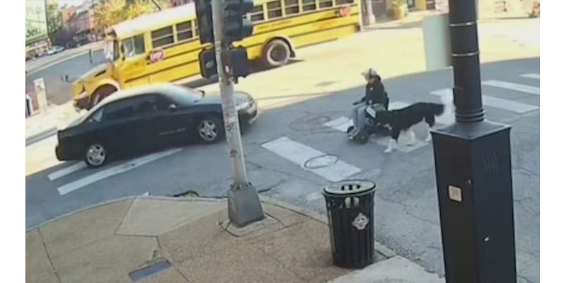 ‘I’m fed up’ – Victim speaks out after Soulard hit-and-run crash, suspect wanted