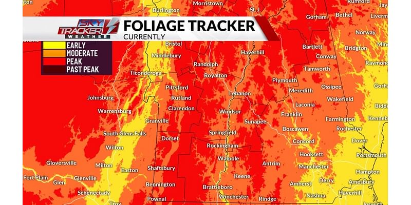 Foliage Update: September 30th, 2024