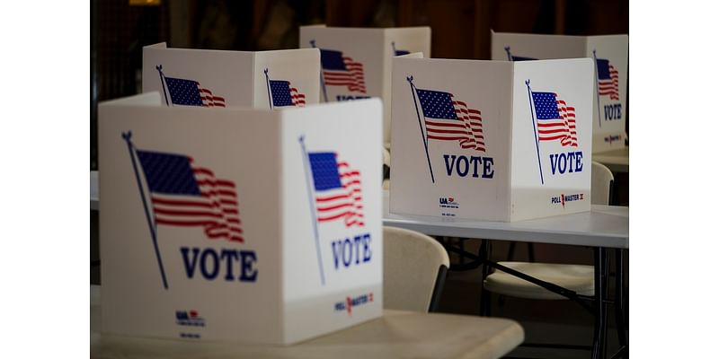 Rural issues big as voters shake things up in Webster Township election