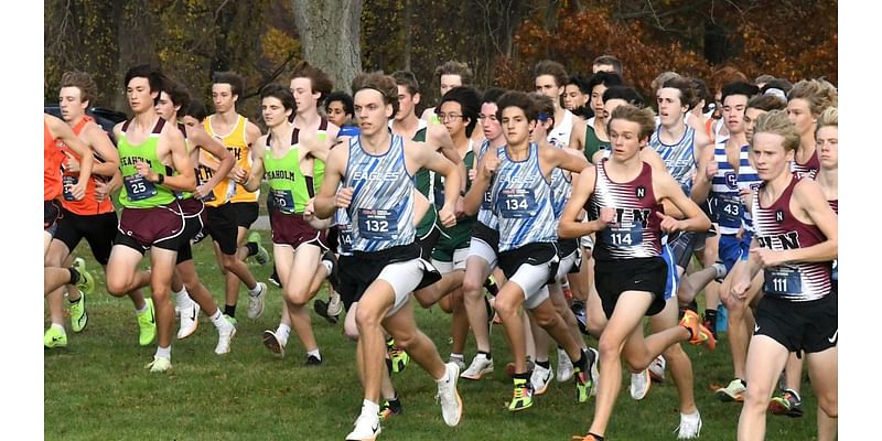 Michigan statewide cross country coaches poll for the week of Sept. 30, 2024