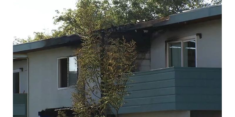 Man, family dog die in San Leandro apartment fire; 12 people displaced, authorities say