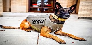 North Carolina K-9 officer ‘Joker’ gifted body armor vest