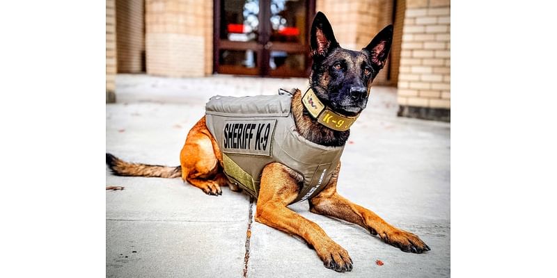 North Carolina K-9 officer ‘Joker’ gifted body armor vest