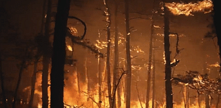 Wildfires threaten NY, NJ amid drought watch