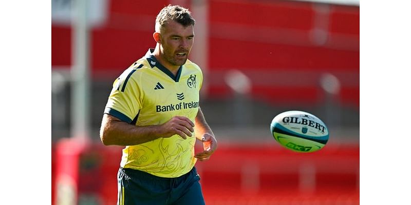 Return of international stars should help Munster find shelter from the storm