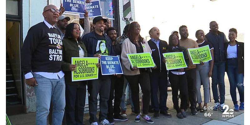 Michael Ealy joins Democratic city leaders to discuss the importance of voting