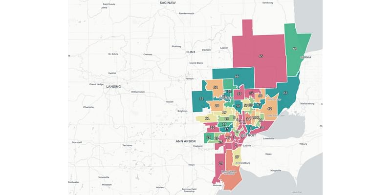 2024 Michigan House general election results: metro Detroit