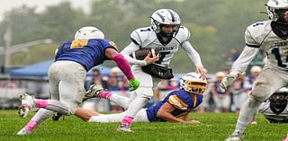 Johnson runs past Roselle - Football recap