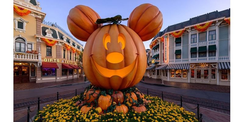 Halloween to holidays: How Disney turns over its parks between its two most important seasons