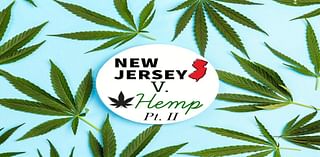 Enforcement of New Jersey's Intoxicating Hemp Law Delayed Amidst Legal Battle