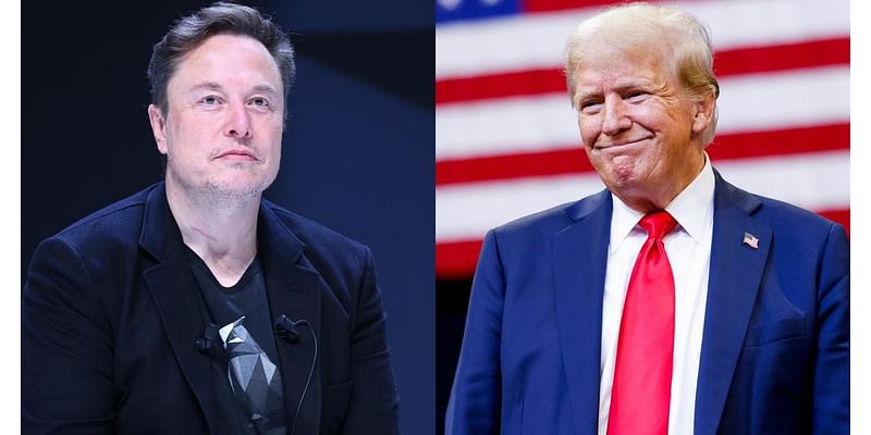 Elon Musk speaking at pro-Trump super PAC's town halls in Pennsylvania ahead of voter registration deadline