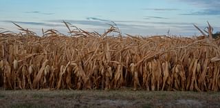 October second-warmest, second-driest on record for U.S.: NOAA