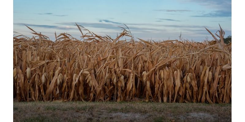 October second-warmest, second-driest on record for U.S.: NOAA