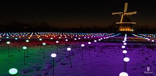 1,000 LED tulips will reilluminate Windmill Island Gardens. Here’s how to get tickets.